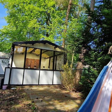 "Dennenhuisje" Op Bospark Ijsselheide Hattemerbroek Exteriör bild