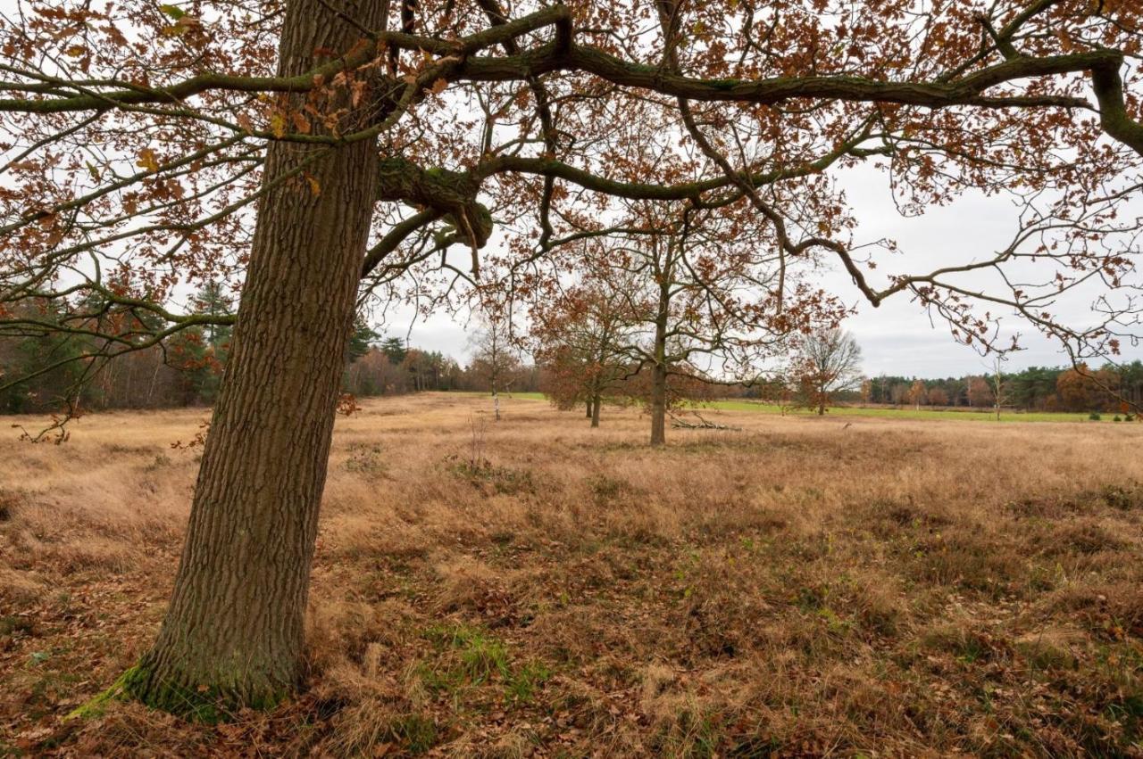 "Dennenhuisje" Op Bospark Ijsselheide Hattemerbroek Exteriör bild