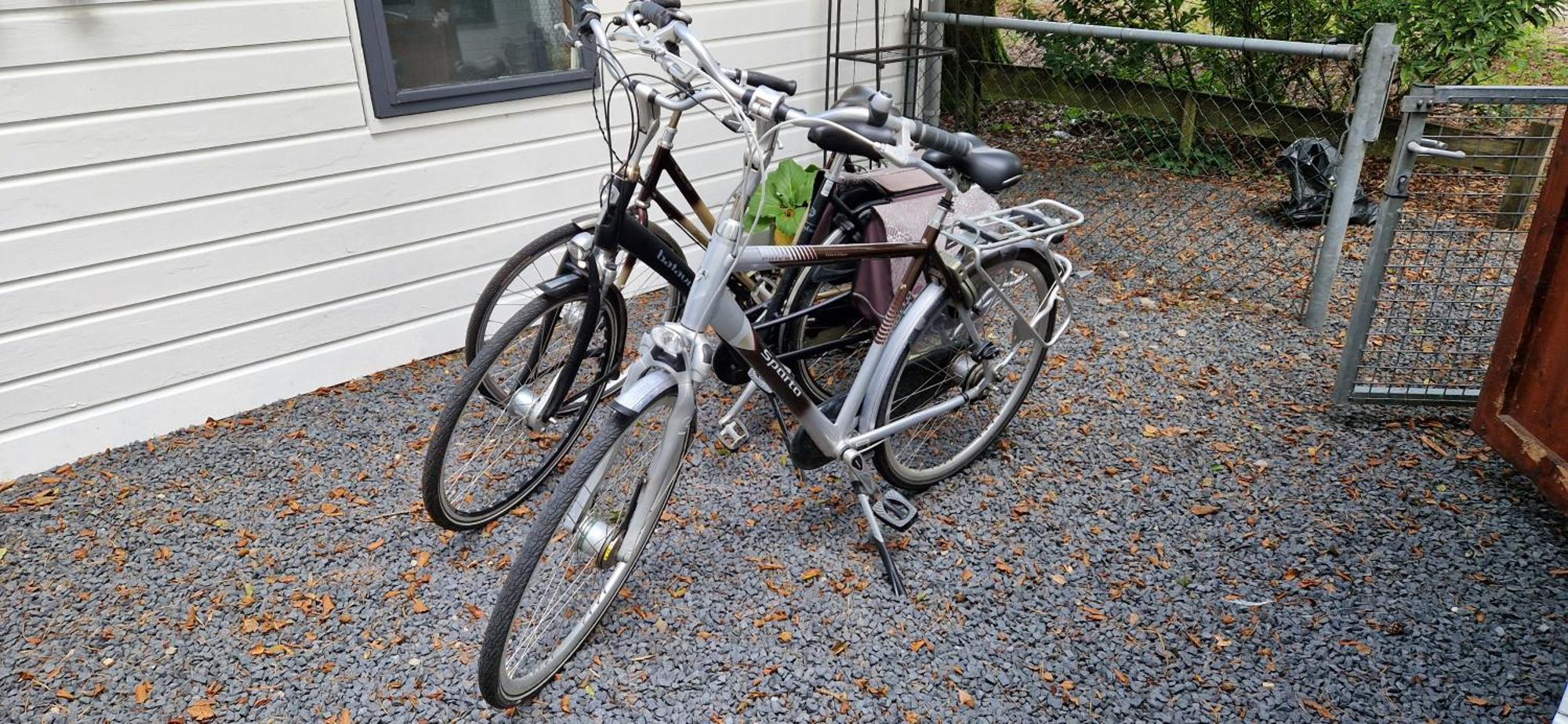 "Dennenhuisje" Op Bospark Ijsselheide Hattemerbroek Exteriör bild